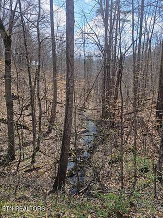 2.1 Acres of Residential Land for Sale in Caryville, Tennessee