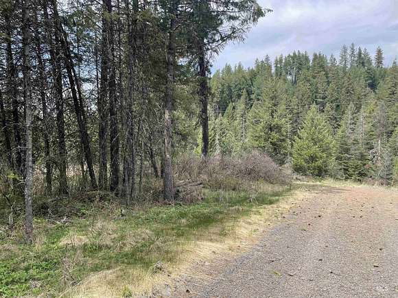 14.2 Acres of Land for Sale in Troy, Idaho
