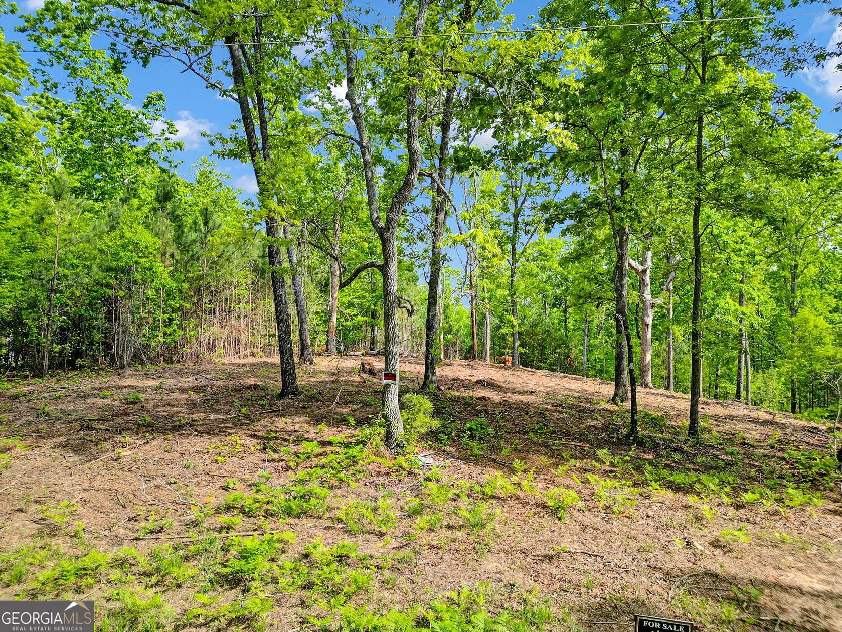 4 Acres of Residential Land for Sale in Canton, Georgia