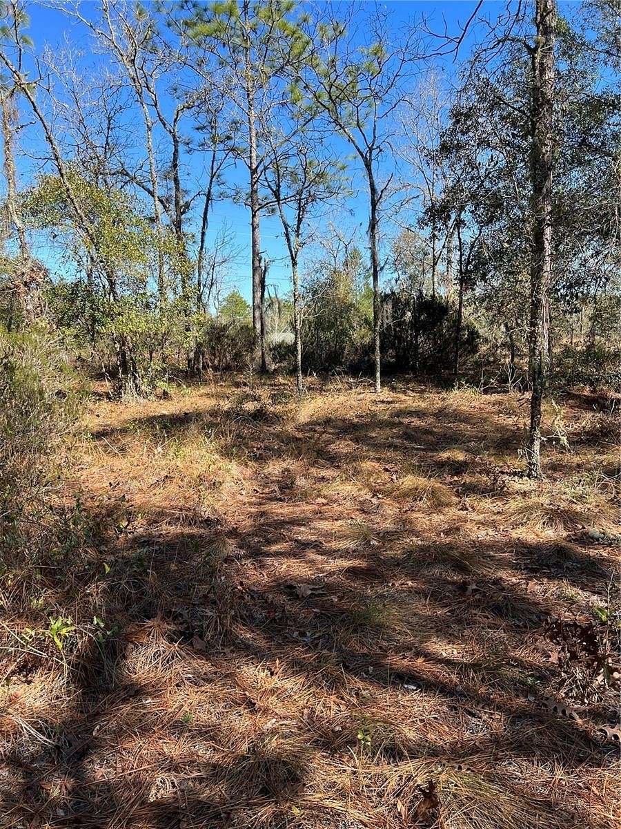 1.8 Acres of Residential Land for Sale in Bronson, Florida