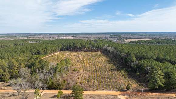 12.4 Acres of Land for Sale in Wrightsville, Georgia