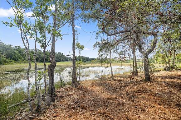 37.42 Acres of Recreational Land for Sale in Ocklawaha, Florida