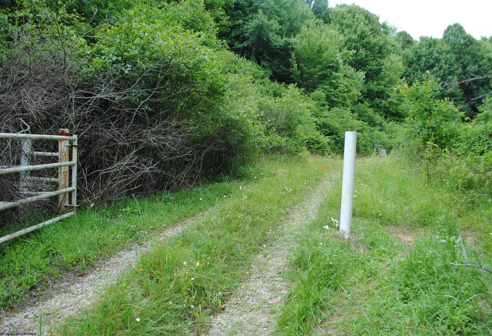 12.67 Acres of Recreational Land for Sale in Philippi, West Virginia