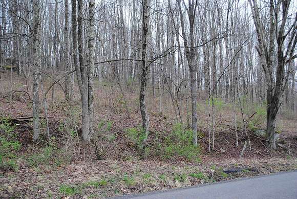 12.7 Acres of Recreational Land for Sale in Philippi, West Virginia