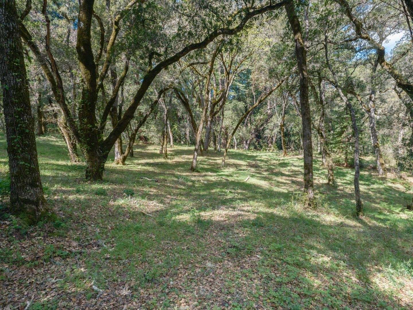 34.4 Acres of Agricultural Land for Sale in Carmel Valley Village, California