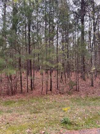 1 Acre of Residential Land for Sale in Hot Springs Village, Arkansas