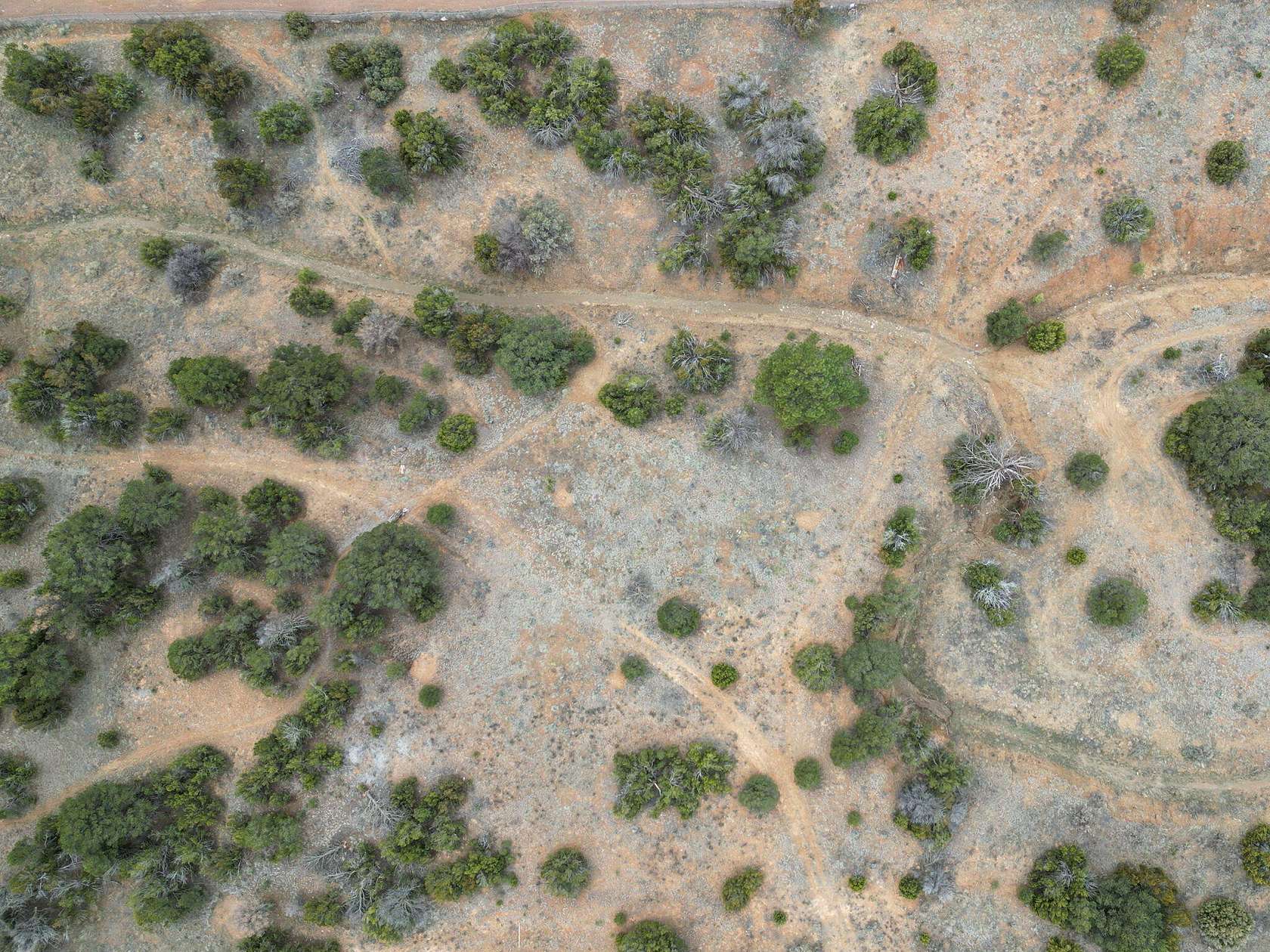 2.5 Acres of Land for Sale in Tijeras, New Mexico