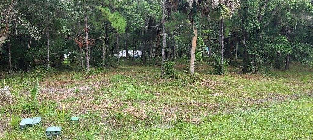 0.33 Acres of Residential Land for Sale in Crystal River, Florida