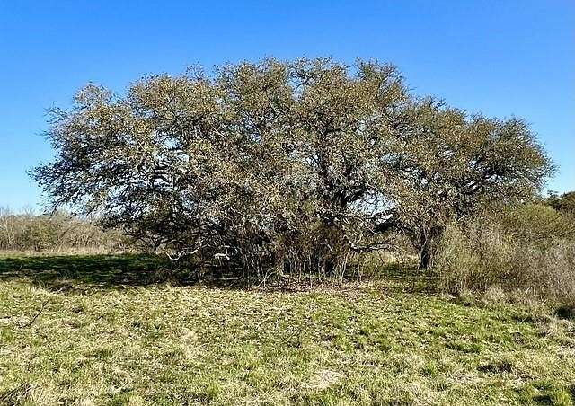 12.72 Acres of Land for Sale in D'Hanis, Texas