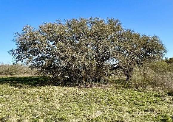 12.7 Acres of Land for Sale in D'Hanis, Texas