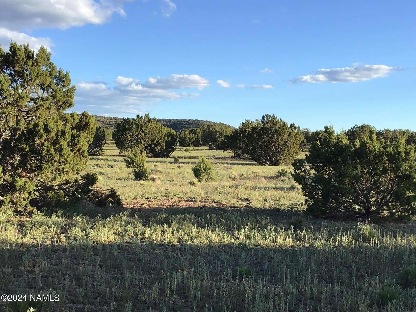 12 Acres of Recreational Land for Sale in Williams, Arizona