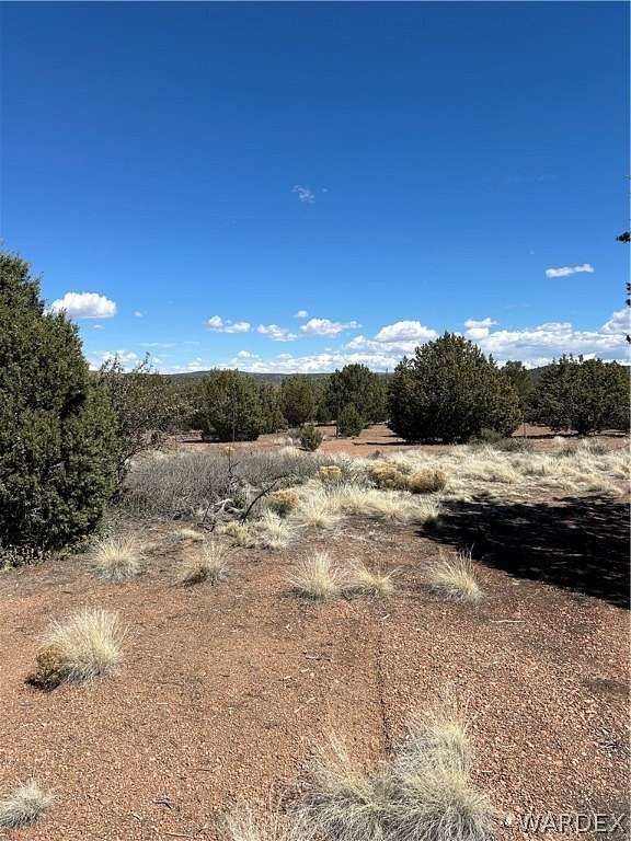 36.1 Acres of Agricultural Land for Sale in Kingman, Arizona