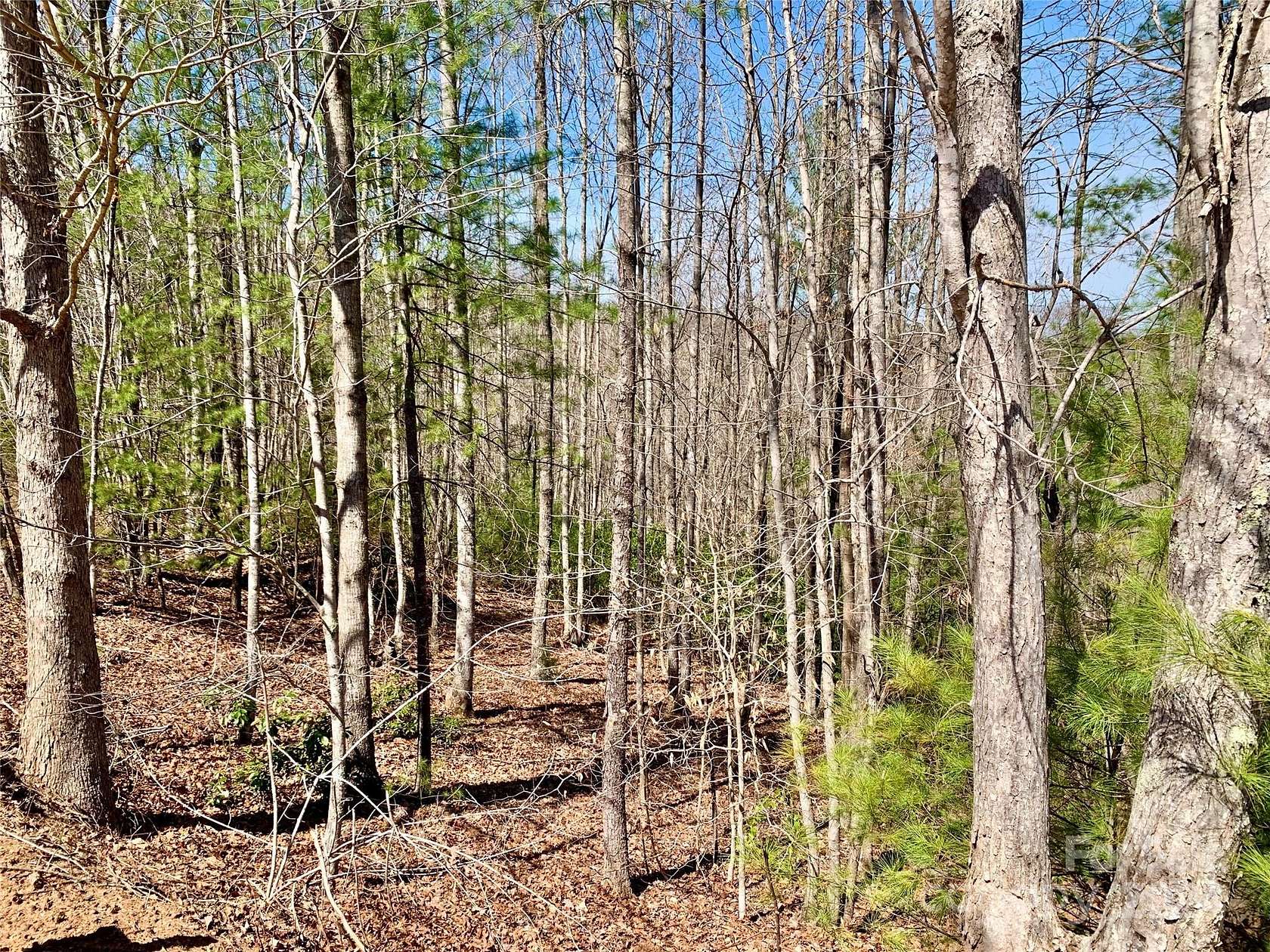 2.6 Acres of Land for Sale in Lenoir, North Carolina
