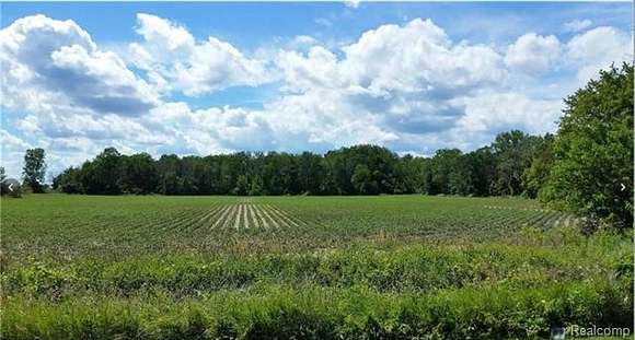 17.8 Acres of Land for Sale in Pinconning, Michigan