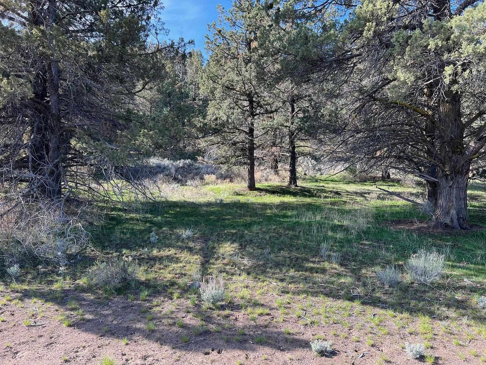 0.41 Acres of Residential Land for Sale in Weed, California