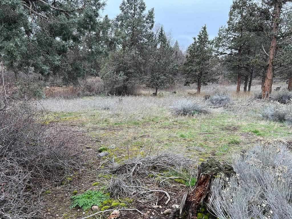 0.41 Acres of Land for Sale in Weed, California