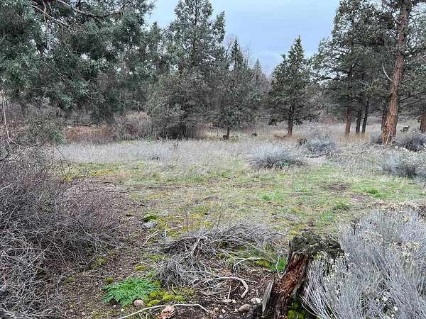 0.41 Acres of Land for Sale in Weed, California