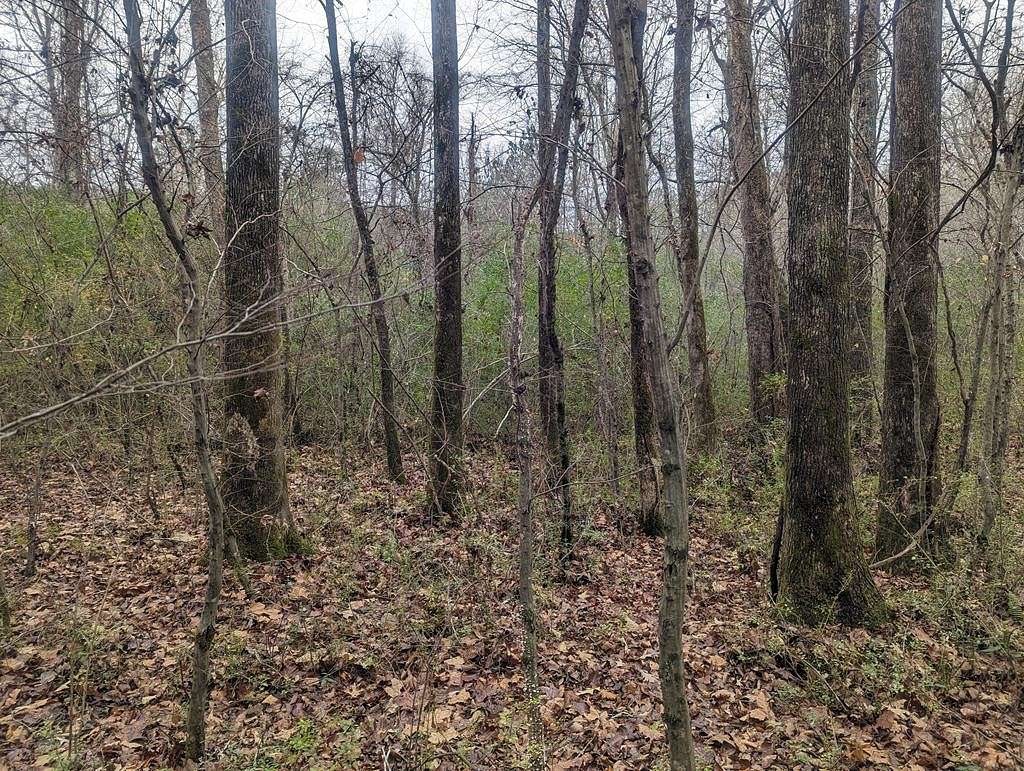 1.9 Acres of Residential Land for Sale in Rocky Face, Georgia
