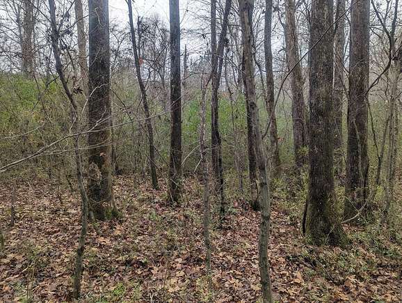 1.9 Acres of Residential Land for Sale in Rocky Face, Georgia