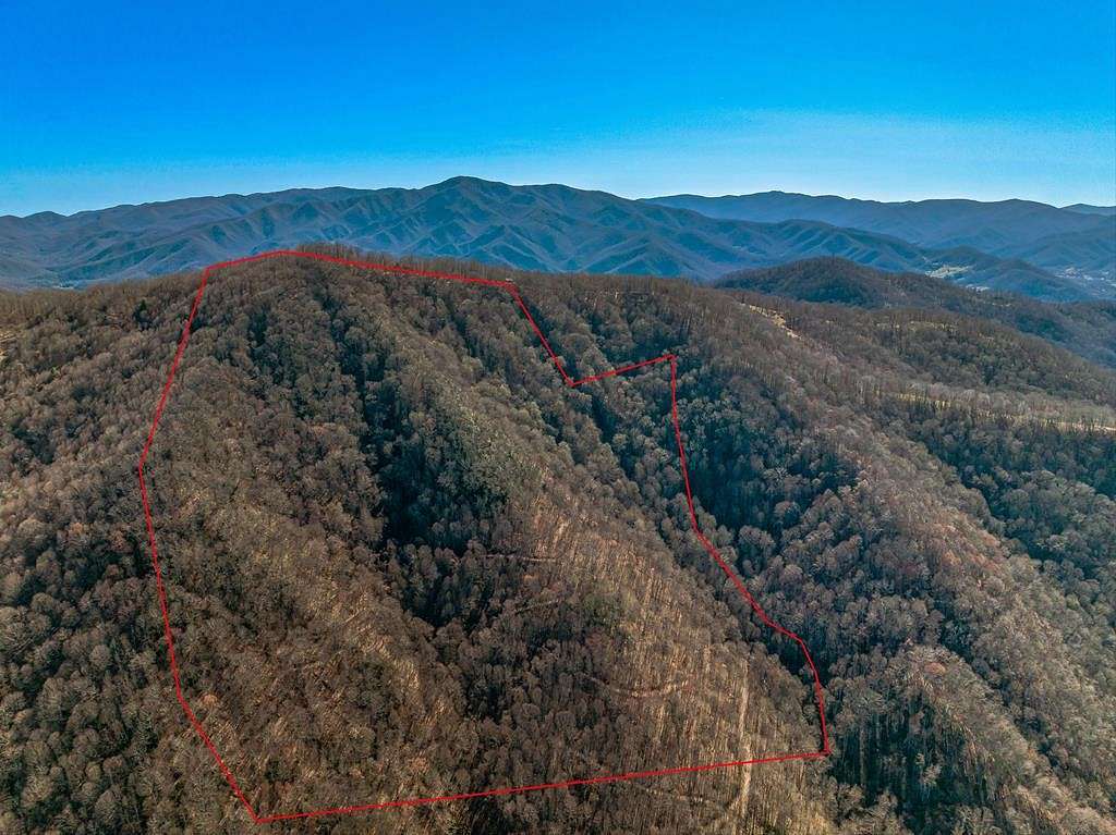 54.7 Acres of Land for Sale in Canton, North Carolina