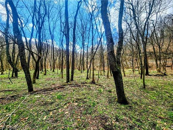 17.1 Acres of Land for Sale in Weirton, West Virginia