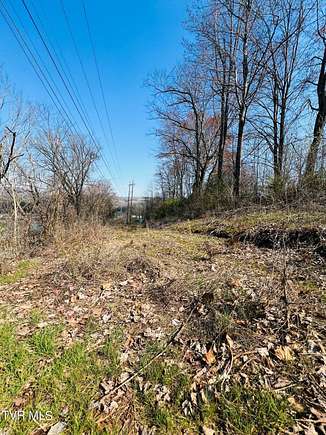 0.33 Acres of Residential Land for Sale in Tazewell, Tennessee
