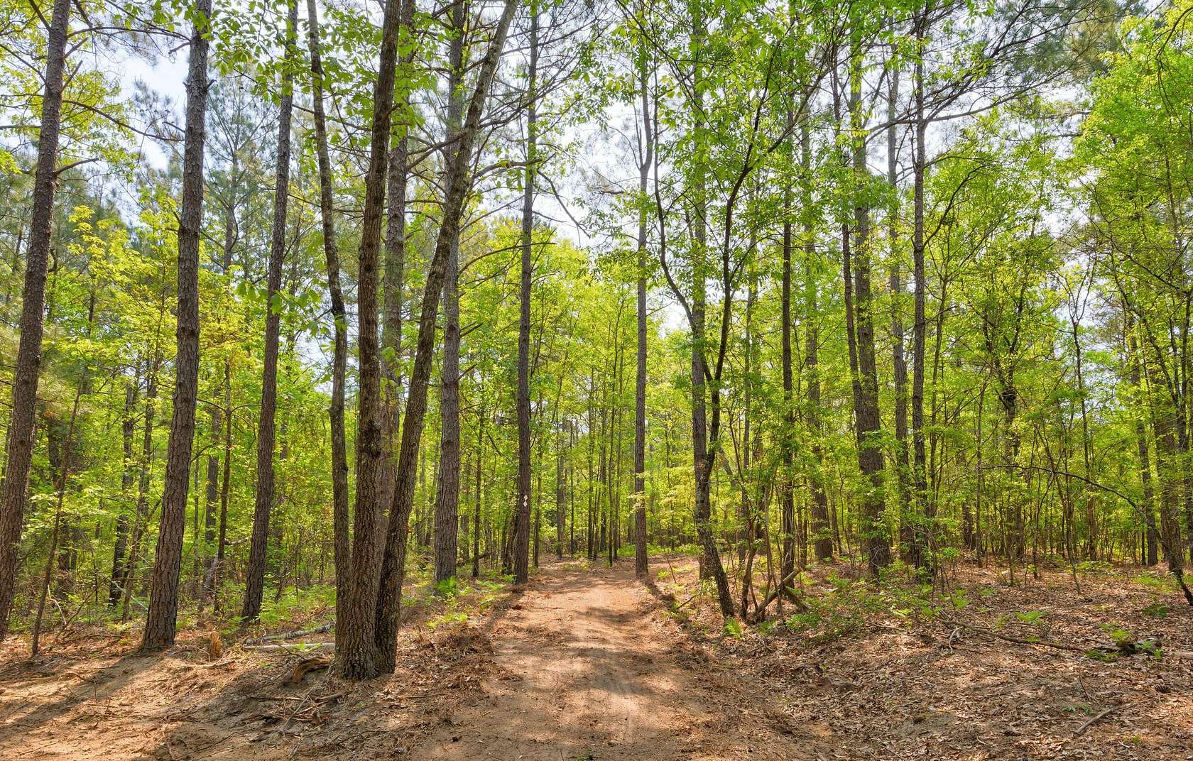 10 Acres of Land for Sale in Aiken, South Carolina