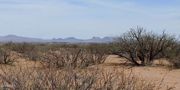40.3 Acres of Land for Sale in Douglas, Arizona