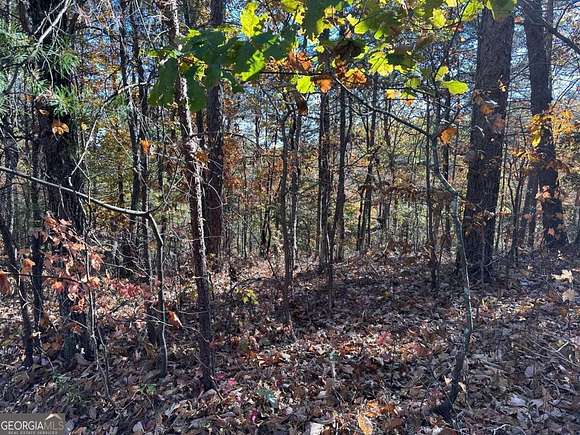 1.57 Acres of Residential Land for Sale in Talking Rock, Georgia