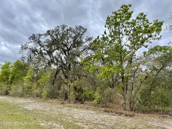 12.6 Acres of Land for Sale in Bryceville, Florida