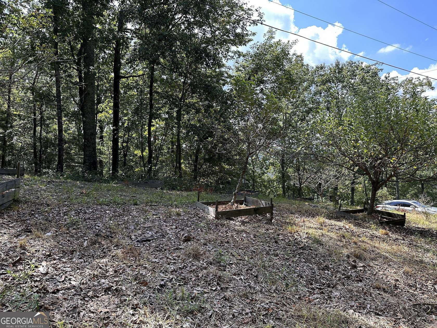 1.41 Acres of Residential Land for Sale in Ranger, Georgia