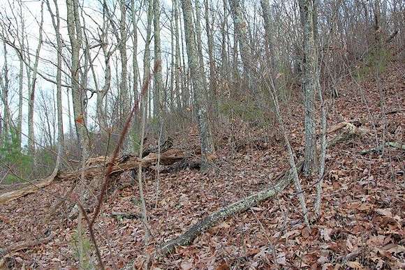 0.76 Acres of Land for Sale in Sevierville, Tennessee