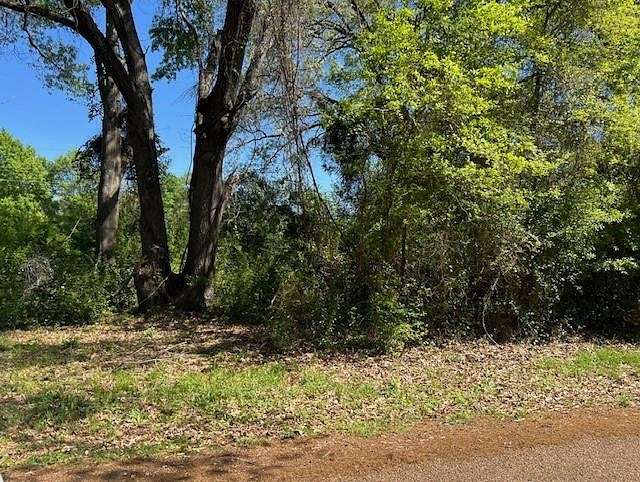 0.12 Acres of Residential Land for Sale in Mabank, Texas
