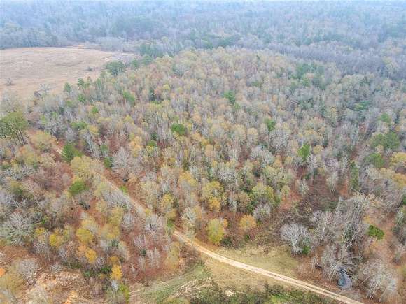 22.5 Acres of Recreational Land for Sale in Overton, Texas