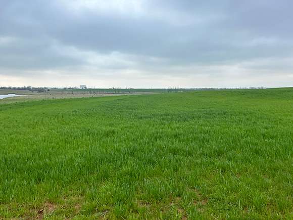 233 Acres of Agricultural Land for Auction in Geary, Oklahoma
