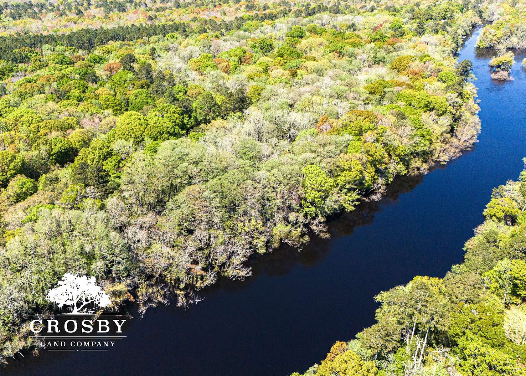 145 Acres of Recreational Land for Sale in Ridgeville, South Carolina