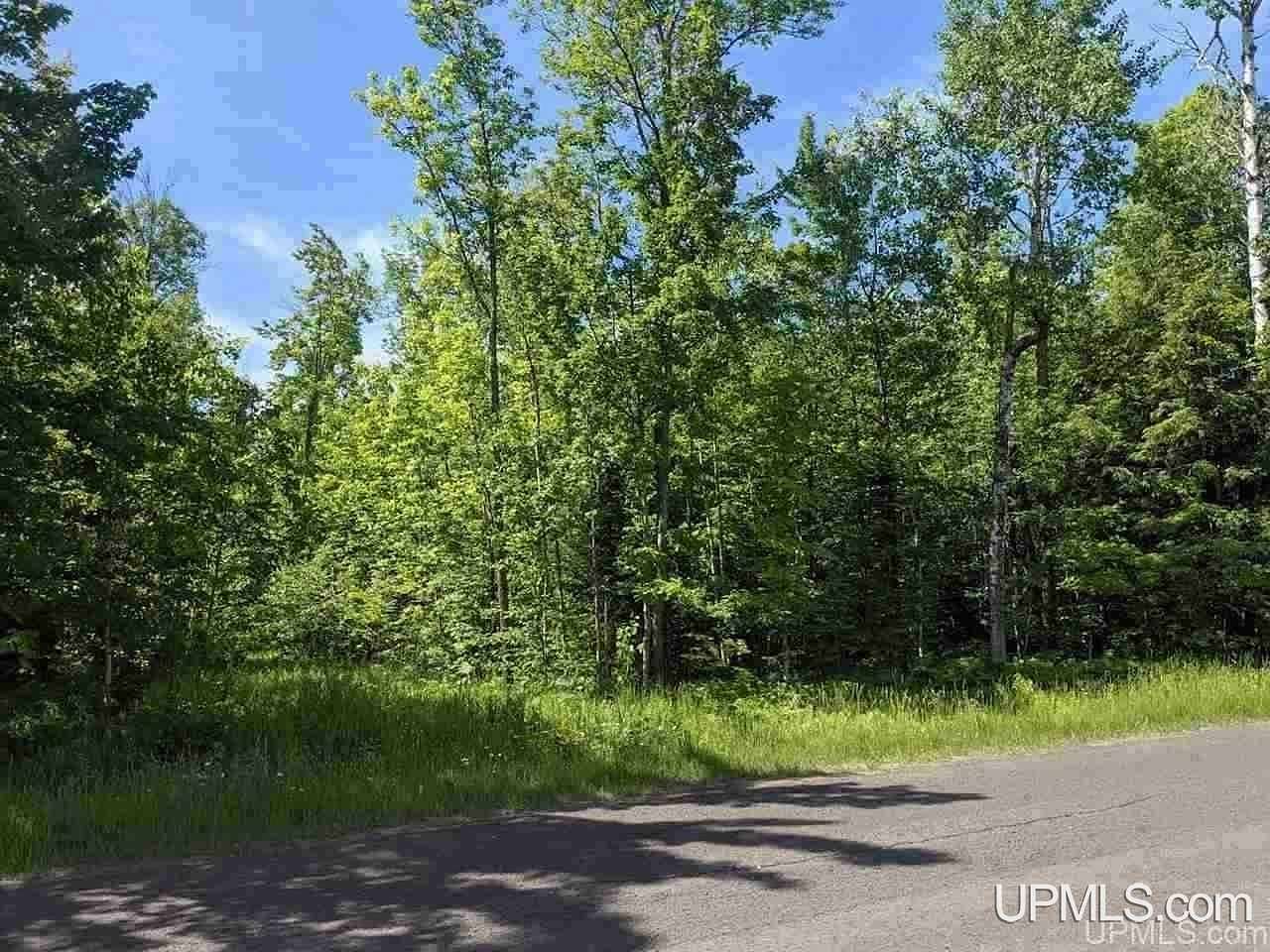 9.8 Acres of Residential Land for Sale in Ontonagon, Michigan