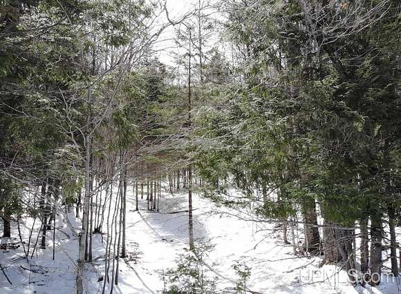 10 Acres of Recreational Land for Sale in Mass City, Michigan