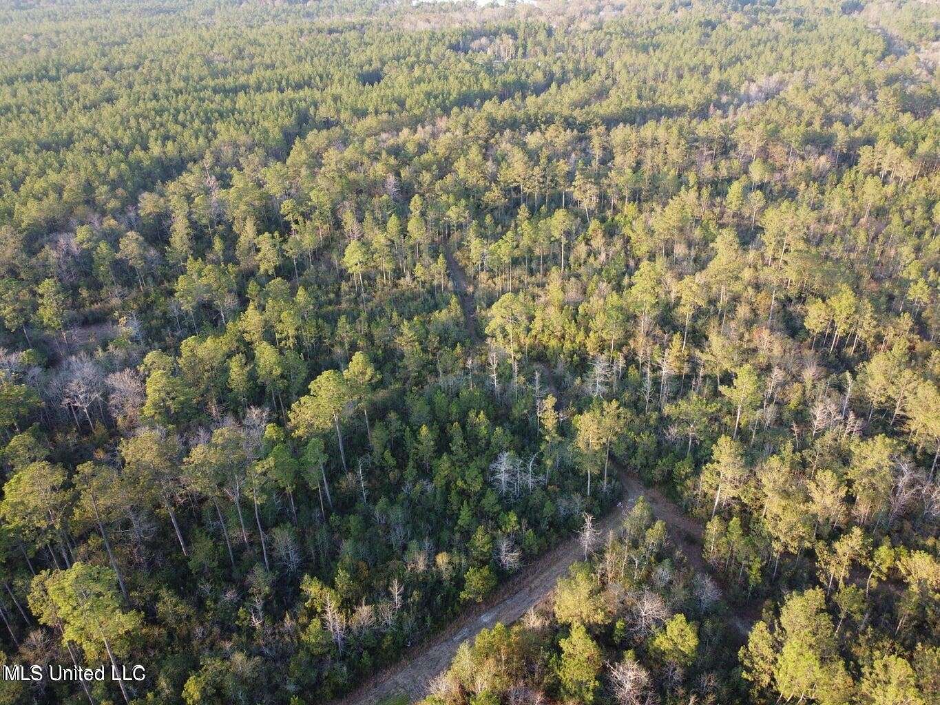 303 Acres of Recreational Land for Sale in Perkinston, Mississippi