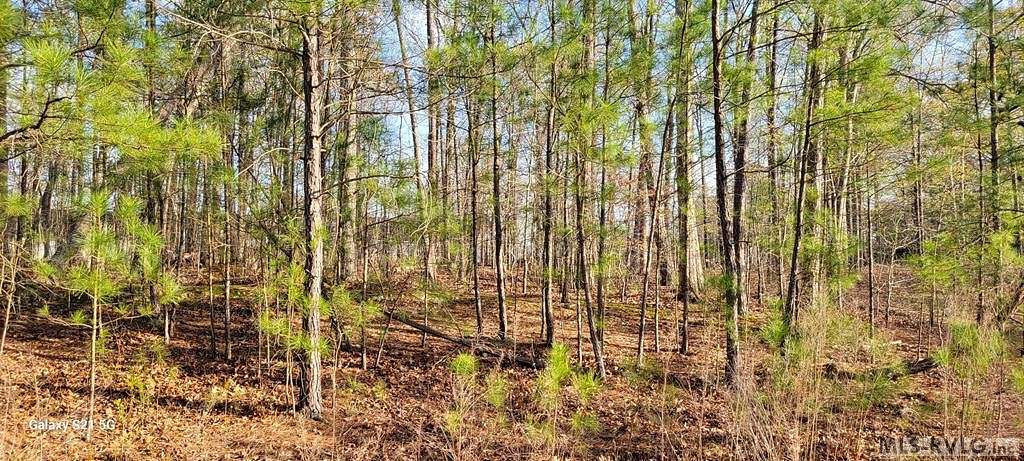 0.53 Acres of Residential Land for Sale in Roanoke Rapids, North Carolina