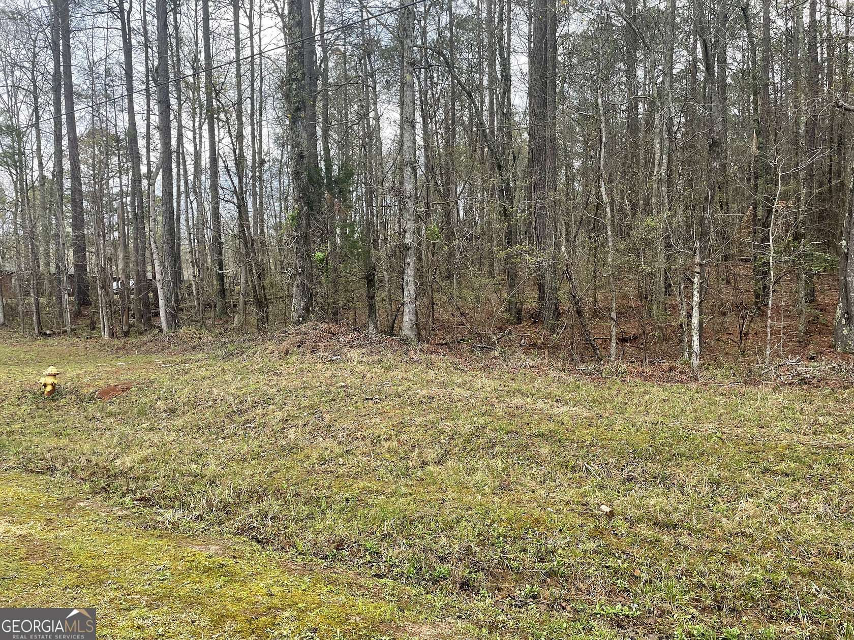 5.3 Acres of Land for Sale in Franklin, Georgia