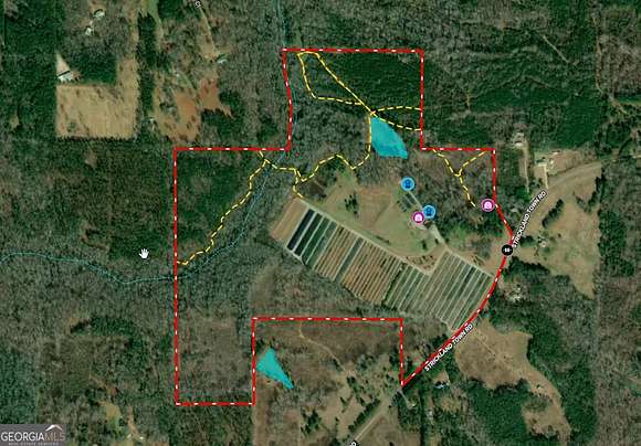 128 Acres of Land for Sale in Luthersville, Georgia