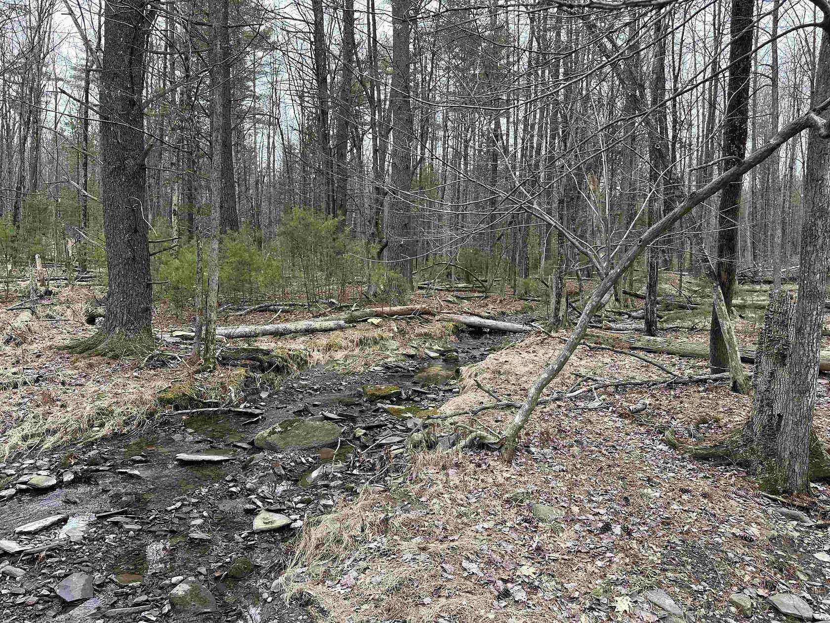 2 Acres of Residential Land for Sale in West Shokan, New York