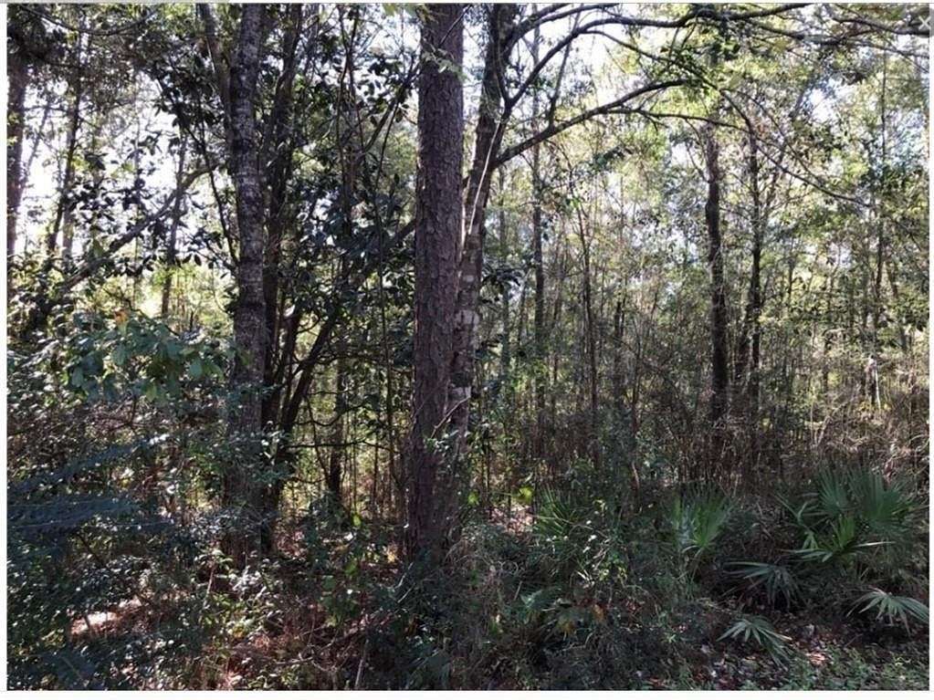 0.43 Acres of Residential Land for Sale in Mobile, Alabama
