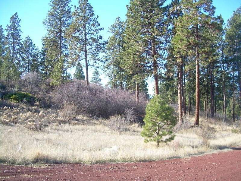 0.99 Acres of Residential Land for Sale in Chiloquin, Oregon