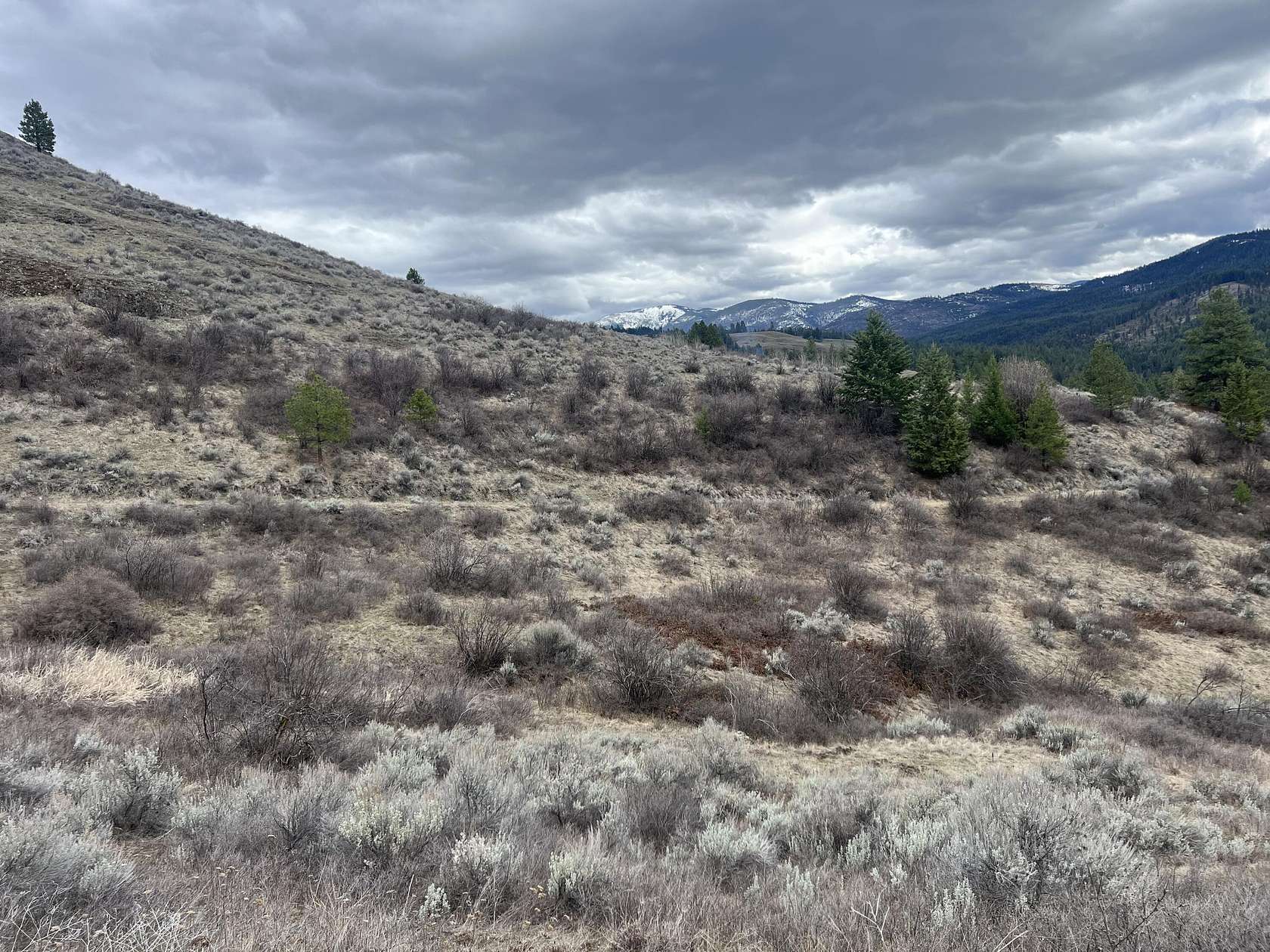 10 Acres of Land for Sale in Republic, Washington