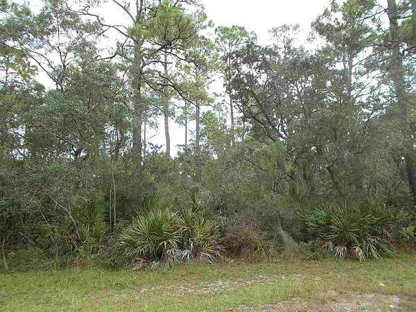 1.69 Acres of Residential Land for Sale in Panacea, Florida