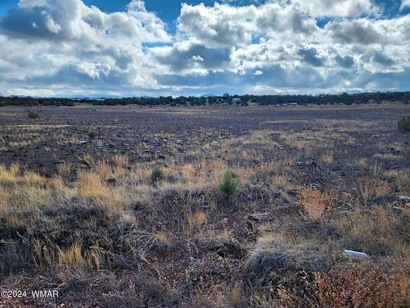 1 Acre of Residential Land for Sale in Concho, Arizona