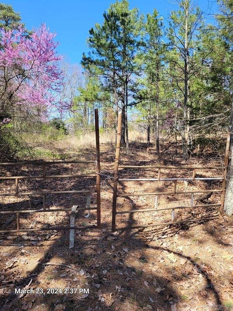 19 Acres of Land for Sale in Clinton, Arkansas