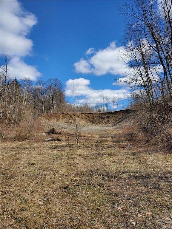 19.5 Acres of Land for Sale in Minden Town, New York
